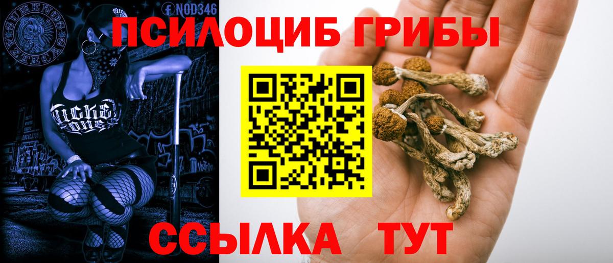 Псилоцибиновые грибы MAGIC MUSHROOMS Кострома